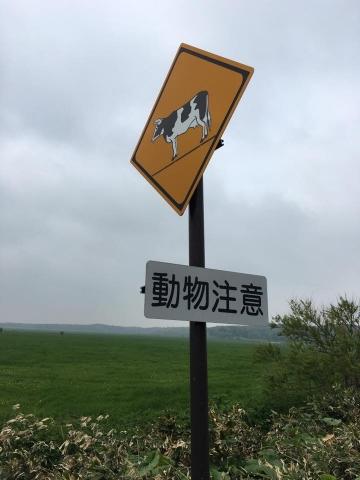 道路標識